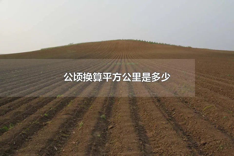 公顷换算平方公里是多少 亩和公顷是怎么换算的
