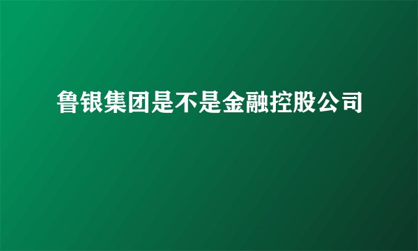 鲁银集团是不是金融控股公司
