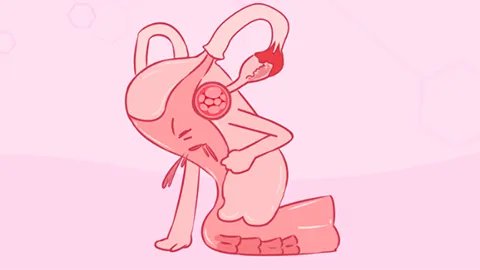 大姨妈来的时候不能吃什么