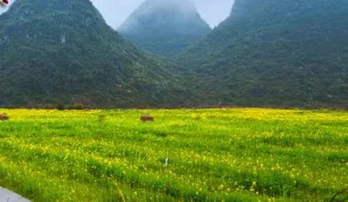 班级春游活动策划方案