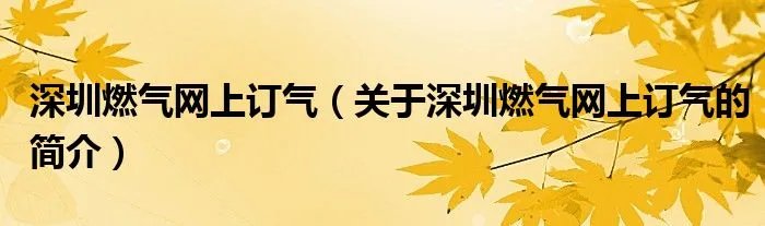 深圳燃气网上订气（关于深圳燃气网上订气的简介）