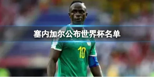 塞内加尔公布世界杯名单 马内带伤入选