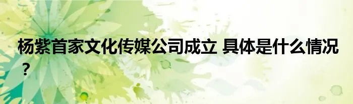 杨紫首家文化传媒公司成立 具体是什么情况？