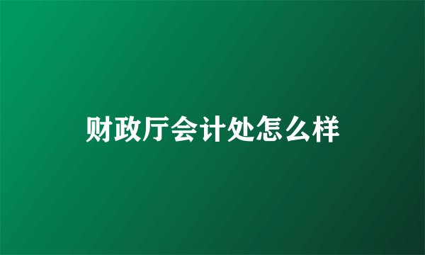 财政厅会计处怎么样