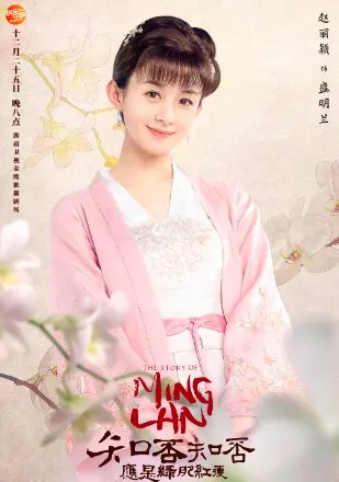 知否知否应是绿肥红瘦演员表