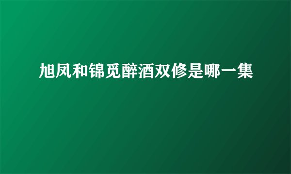 旭凤和锦觅醉酒双修是哪一集