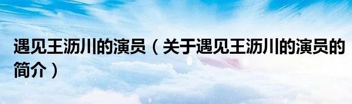 遇见王沥川的演员（关于遇见王沥川的演员的简介）