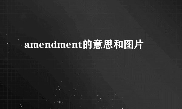 amendment的意思和图片