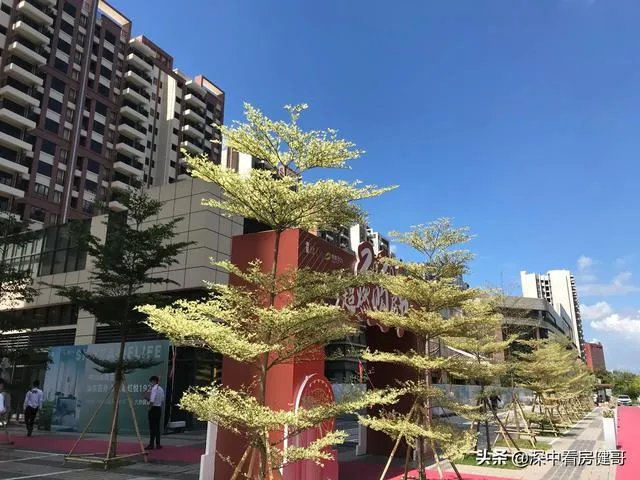 作为老深圳来讲想在深圳买房!怎么看待小产权?