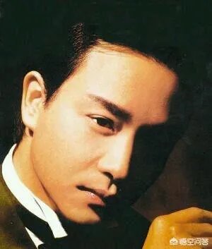 获得吉尼斯记录的大陆明星有哪些?