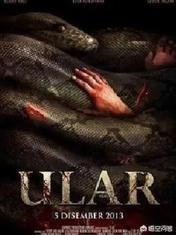 有哪些大蟒蛇类的特效电影值得推荐?