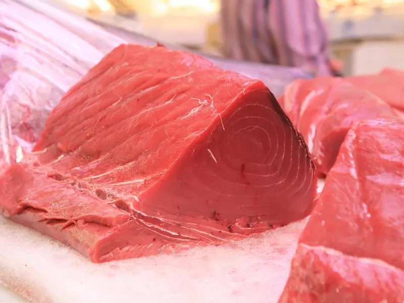 金枪鱼的营养价值