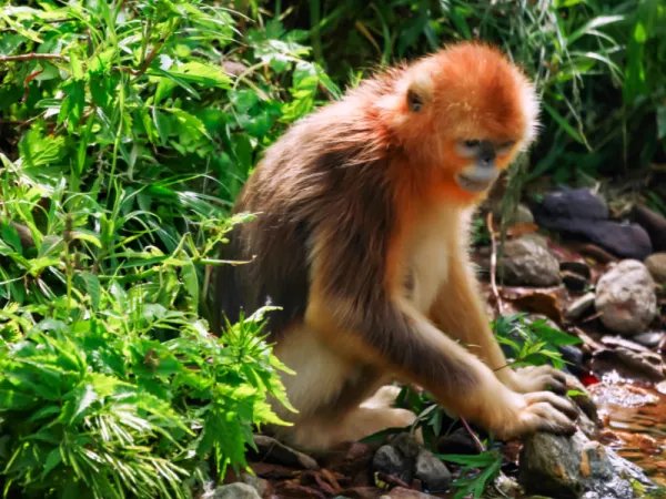 2023年最倒霉的属相