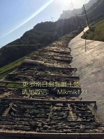 海佳味紫菜是假的吗