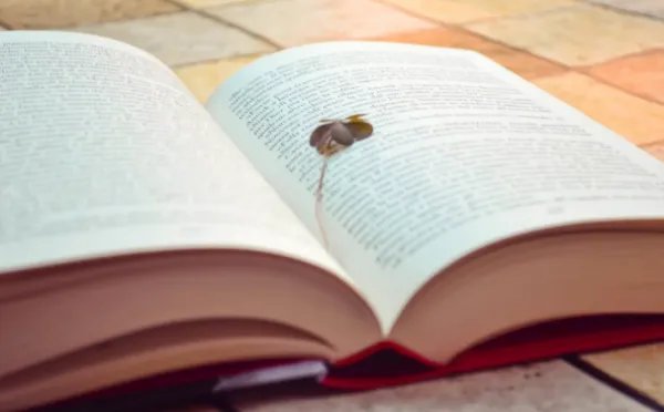 五句话打一成语