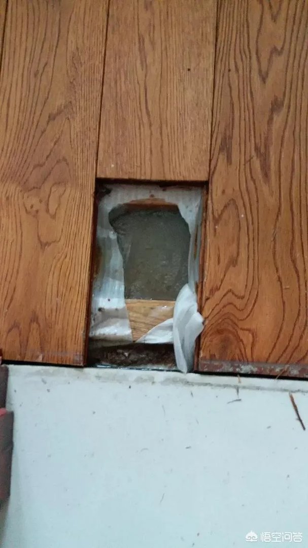 真正的高端净水器品牌有哪几个？什么样的好？