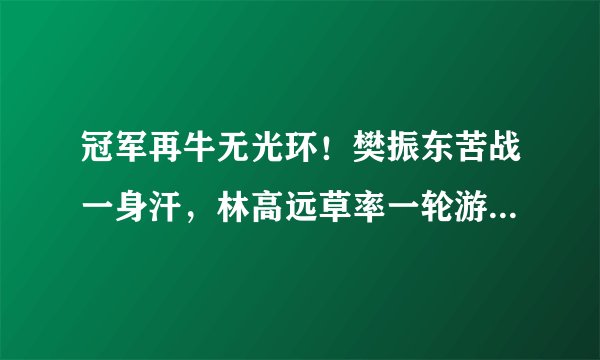 冠军再牛无光环！樊振东苦战一身汗，林高远草率一轮游！-国球汇