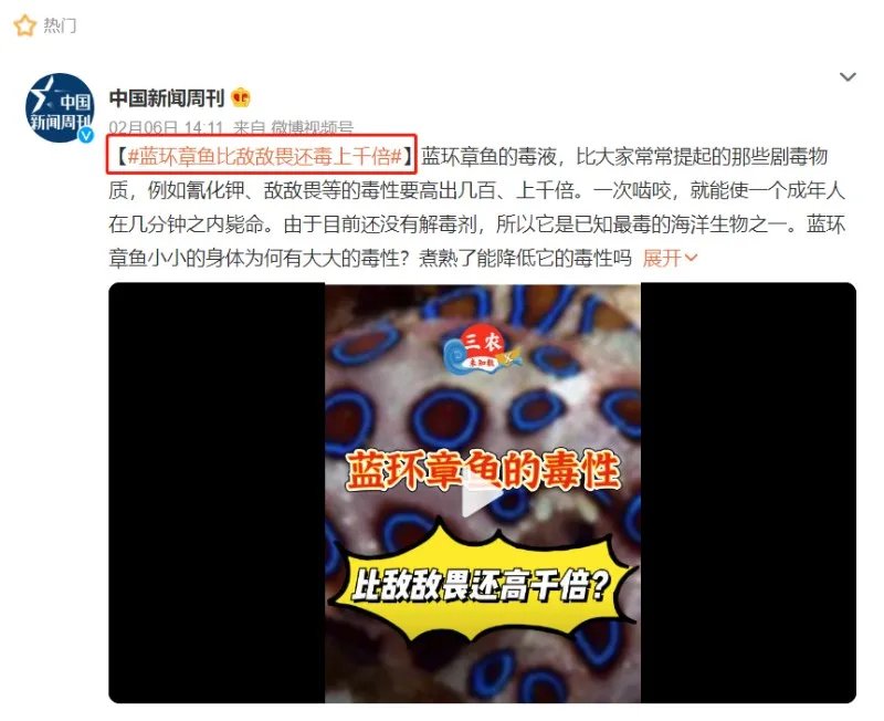 含有剧毒的蓝环章鱼 正在悄悄混入市场