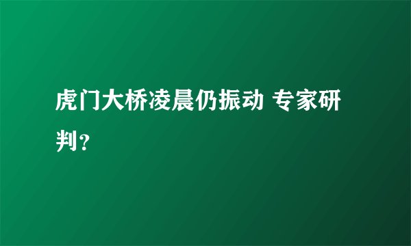 虎门大桥凌晨仍振动 专家研判？