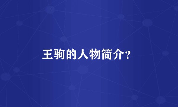 王驹的人物简介？