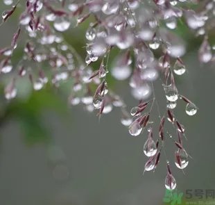 寒露穿什么衣服?寒露要注意什么?