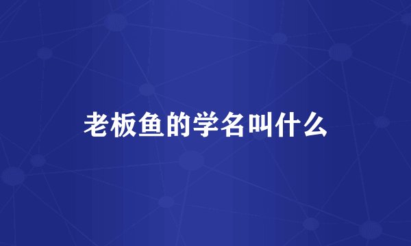 老板鱼的学名叫什么