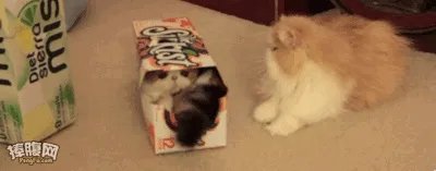 卡介苗是怎么被发明出来的？