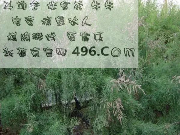 赌王何鸿燊 的‘ 燊’ 字怎么念