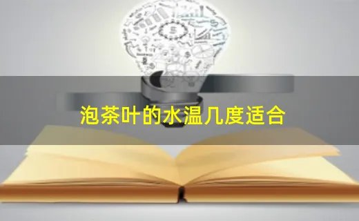 泡茶叶的水温几度适合