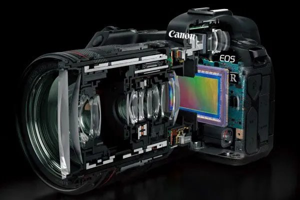 EOS R和其他的佳能资深单反之间怎么选择？