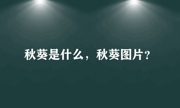 秋葵是什么，秋葵图片？