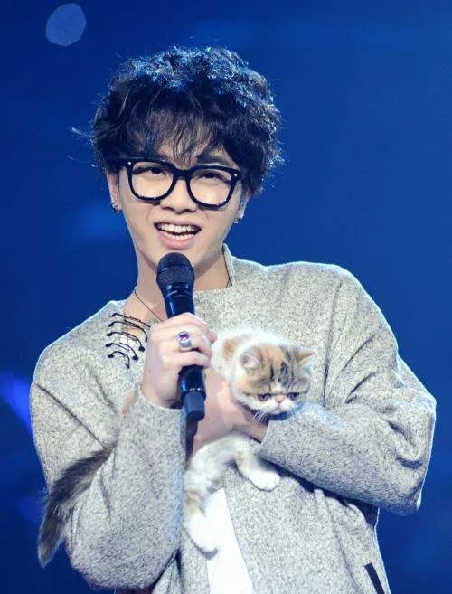 华晨宇很反感张歆艺蹭自己的热度?