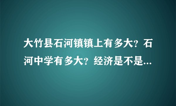 大竹县石河镇镇上有多大？石河中学有多大？经济是不是很发达的一个城镇？其产业支柱是什么？希望详细点啊