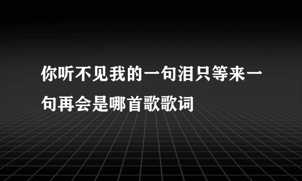 你听不见我的一句泪只等来一句再会是哪首歌歌词