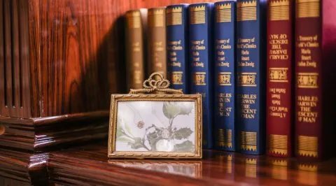 什么是股权激励，如何进行股权激励