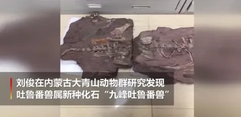 中国发现2.5亿年前九峰吐鲁番兽，这个生物到底是什么模样？