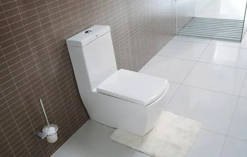 马桶怎么用才健康卫生  正确的使用马桶方法