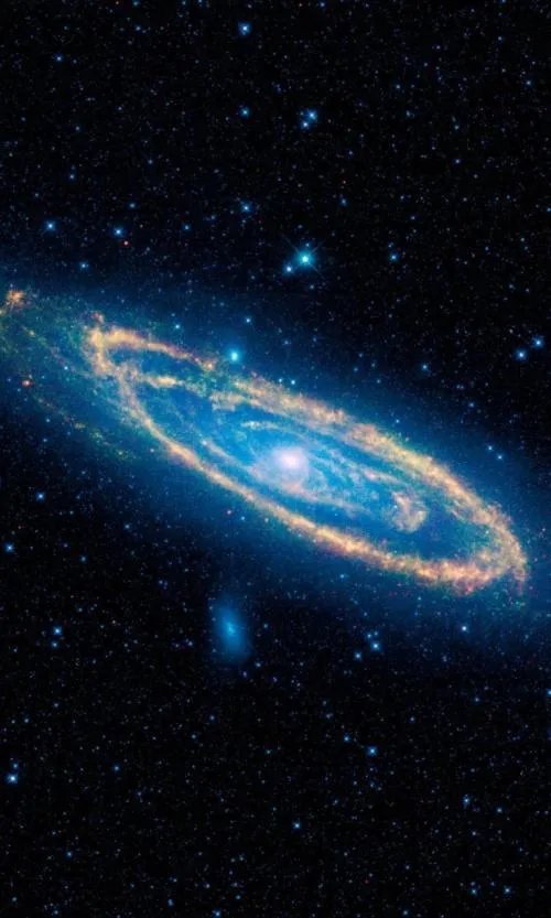 已知宇宙中最冷的地方是哪里？