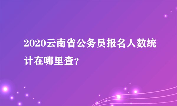 2020云南省公务员报名人数统计在哪里查？
