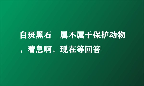 白斑黑石鵖属不属于保护动物，着急啊，现在等回答