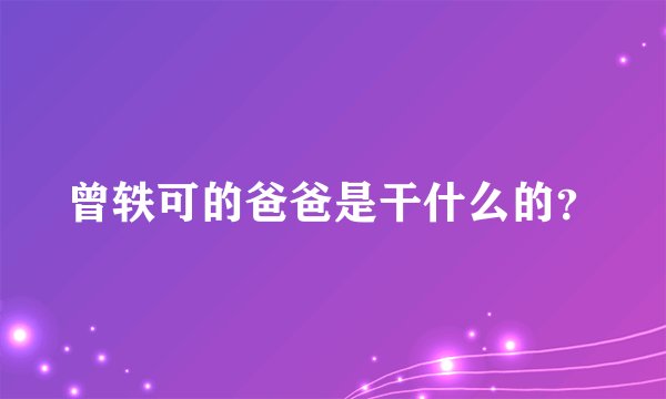 曾轶可的爸爸是干什么的？