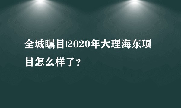 全城瞩目|2020年大理海东项目怎么样了？