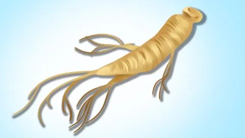 高丽参的吃法有哪些