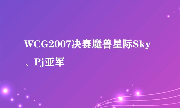 WCG2007决赛魔兽星际Sky、Pj亚军