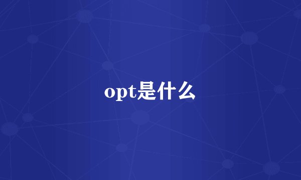 opt是什么