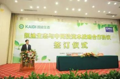 凯迪生态被立案的原因真相是什么？