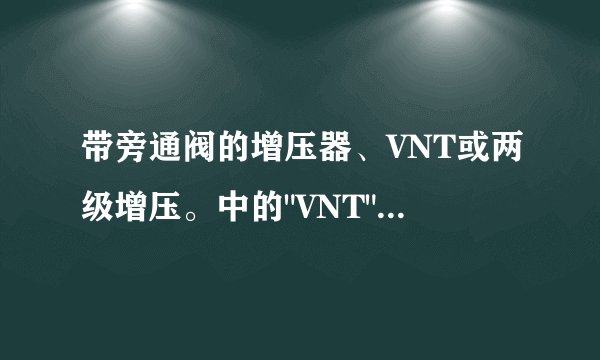 带旁通阀的增压器、VNT或两级增压。中的