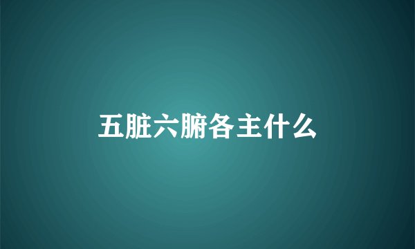 五脏六腑各主什么