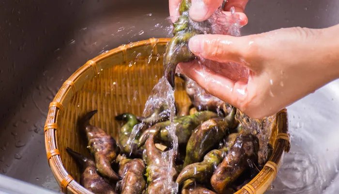 菱角怎么剥 菱角应该怎么剥