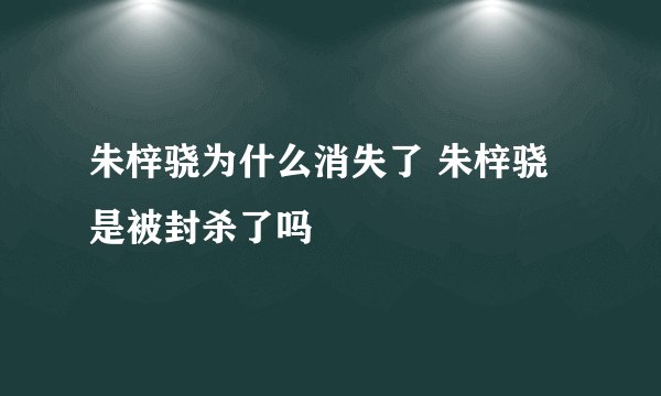 朱梓骁为什么消失了 朱梓骁是被封杀了吗